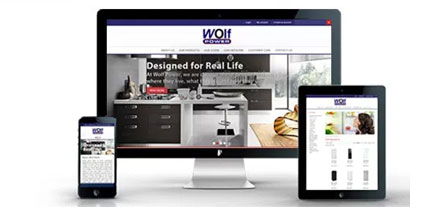 website development company in faridabad