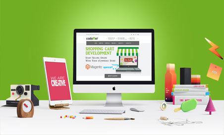 website designing company in faridabad